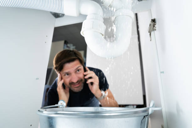 Best Sewer Line Replacement  in Fmington, AR