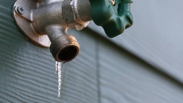 Best Sprinkler Systems  in Fmington, AR
