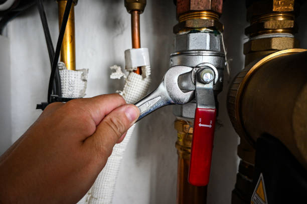 Best Clogged Drain Plumber  in Fmington, AR